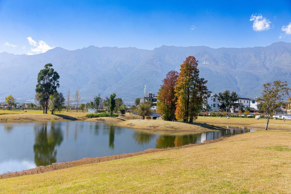 Analyzing Competitor Thumbnails for Insights and Inspiration